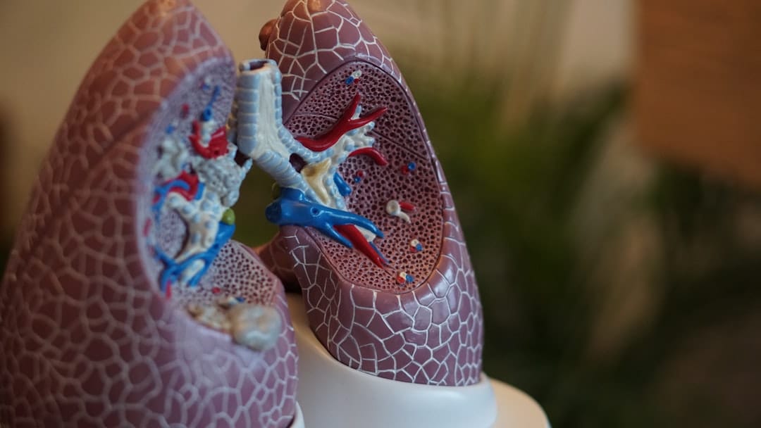 Understanding Asthma Breathing Machines: Types, Uses, and Benefits of Nebulizers
