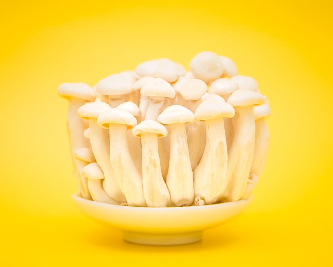 Calcium-Rich Superfoods to Enhance Bone Strength and Overall Health