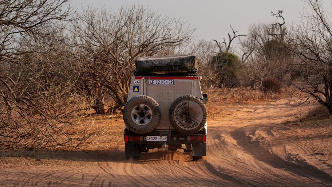 Exciting Black Friday 2025 Offers on Adventure Tours and Safari Trips