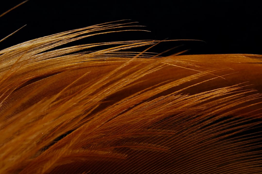 Top Dyson Airwrap Alternatives to Consider This Black Friday 2025