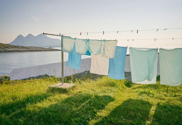 Natural Methods to Achieve Fresh-Smelling Laundry Without Chemicals